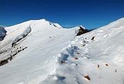 23 siamo ancora in autunno !